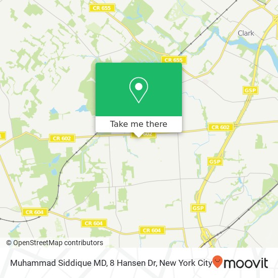 Mapa de Muhammad Siddique MD, 8 Hansen Dr