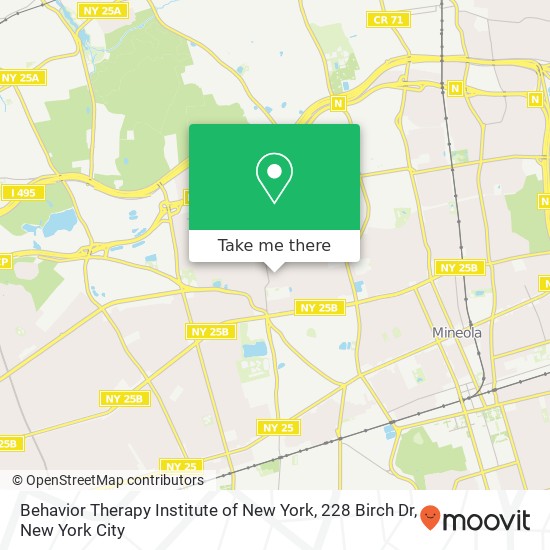 Mapa de Behavior Therapy Institute of New York, 228 Birch Dr