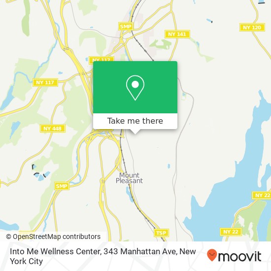 Into Me Wellness Center, 343 Manhattan Ave map