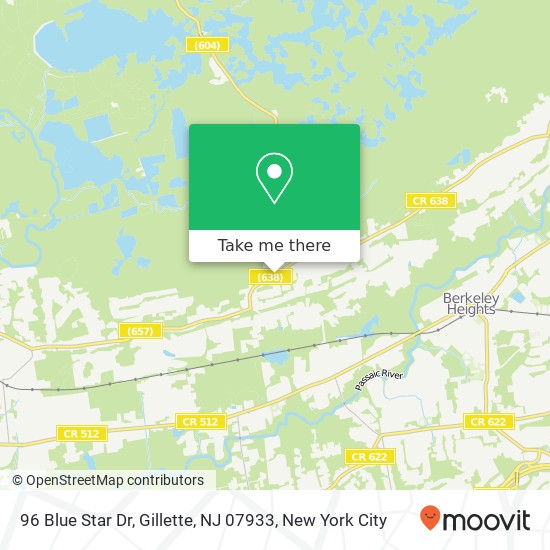 96 Blue Star Dr, Gillette, NJ 07933 map