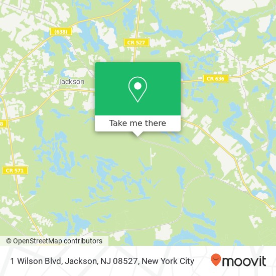 Mapa de 1 Wilson Blvd, Jackson, NJ 08527