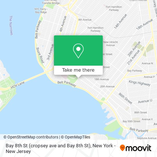 Mapa de Bay 8th St (cropsey ave and Bay 8th St)