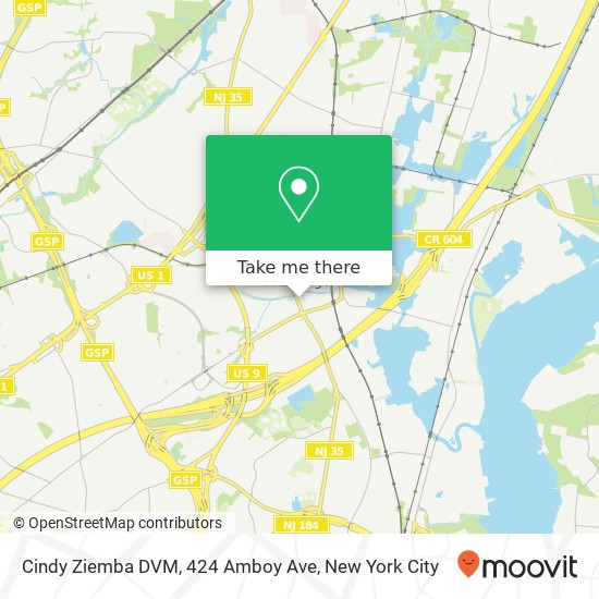 Mapa de Cindy Ziemba DVM, 424 Amboy Ave