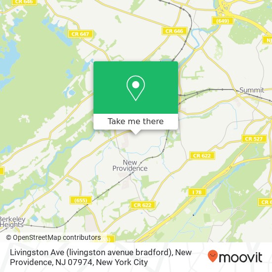 Livingston Ave (livingston avenue bradford), New Providence, NJ 07974 map