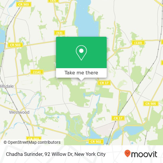 Mapa de Chadha Surinder, 92 Willow Dr