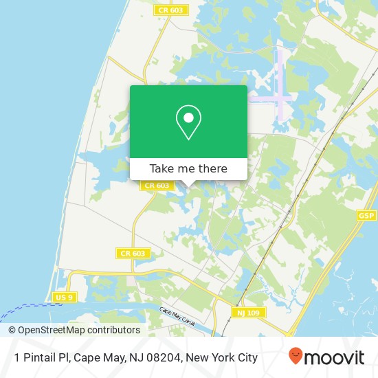 1 Pintail Pl, Cape May, NJ 08204 map