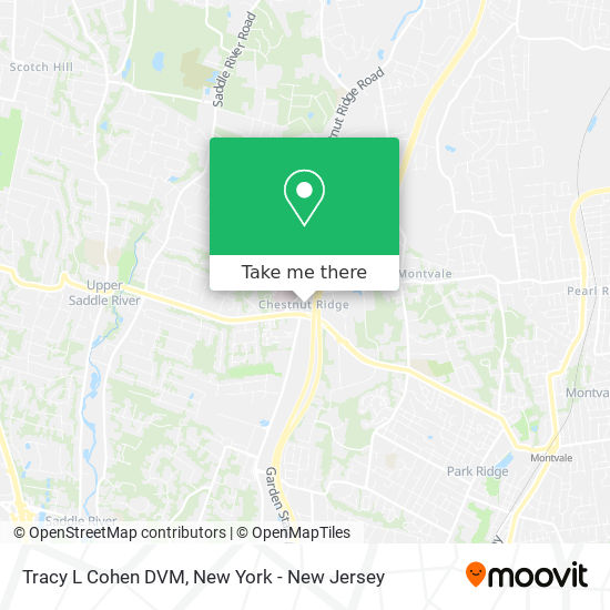 Tracy L Cohen DVM map