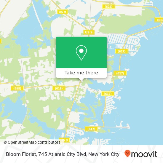 Mapa de Bloom Florist, 745 Atlantic City Blvd