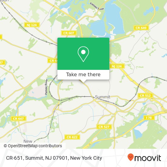 Mapa de CR-651, Summit, NJ 07901