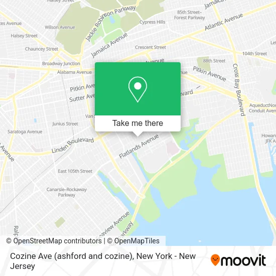Cozine Ave (ashford and cozine) map