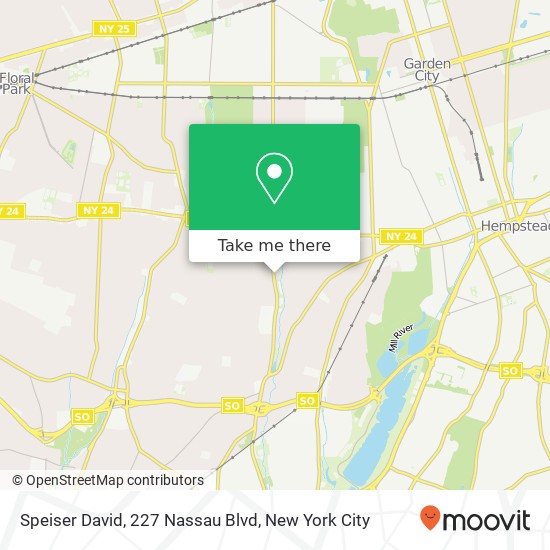 Speiser David, 227 Nassau Blvd map