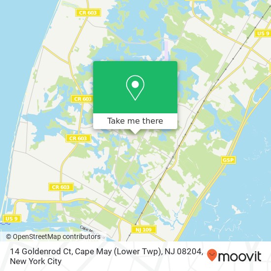 14 Goldenrod Ct, Cape May (Lower Twp), NJ 08204 map