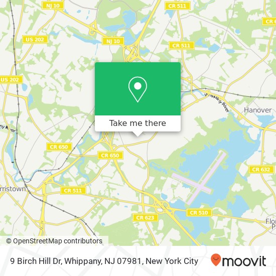 Mapa de 9 Birch Hill Dr, Whippany, NJ 07981