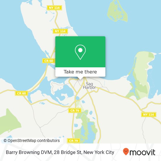 Mapa de Barry Browning DVM, 28 Bridge St