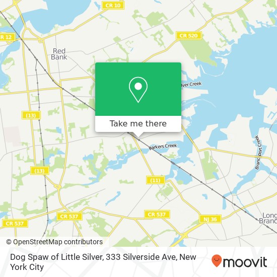 Mapa de Dog Spaw of Little Silver, 333 Silverside Ave