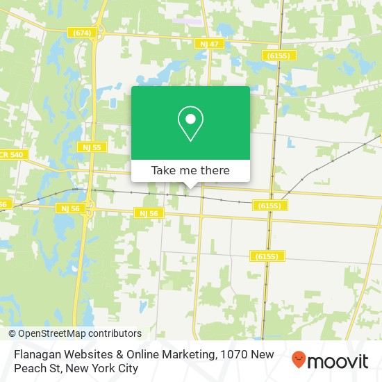 Flanagan Websites & Online Marketing, 1070 New Peach St map