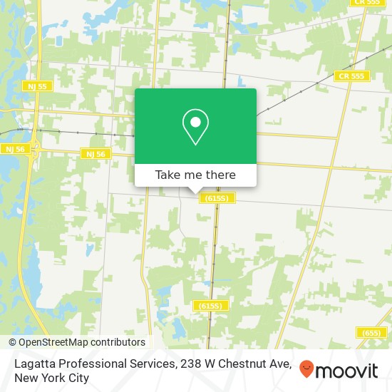 Mapa de Lagatta Professional Services, 238 W Chestnut Ave