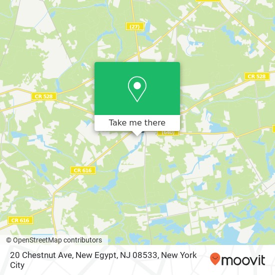 20 Chestnut Ave, New Egypt, NJ 08533 map