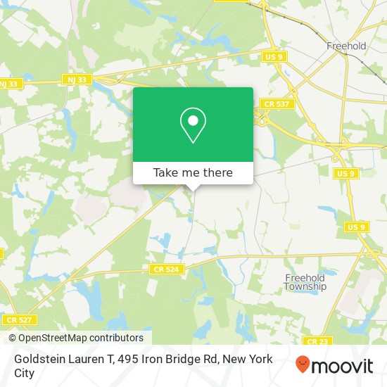 Goldstein Lauren T, 495 Iron Bridge Rd map