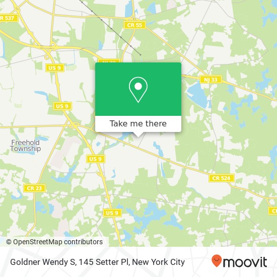 Goldner Wendy S, 145 Setter Pl map