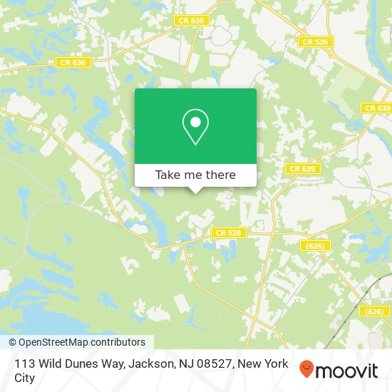 113 Wild Dunes Way, Jackson, NJ 08527 map