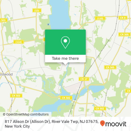 Mapa de 817 Alison Dr (Allison Dr), River Vale Twp, NJ 07675