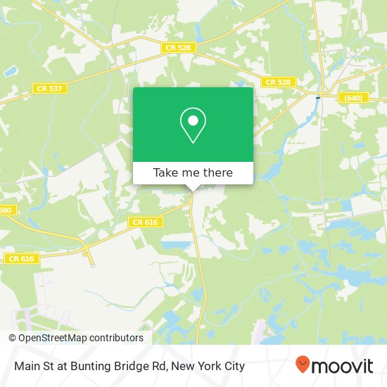 Main St at Bunting Bridge Rd map