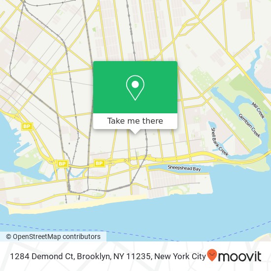Mapa de 1284 Demond Ct, Brooklyn, NY 11235