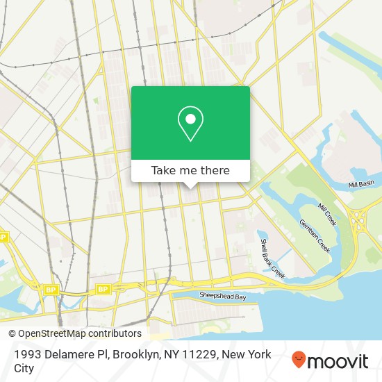 Mapa de 1993 Delamere Pl, Brooklyn, NY 11229