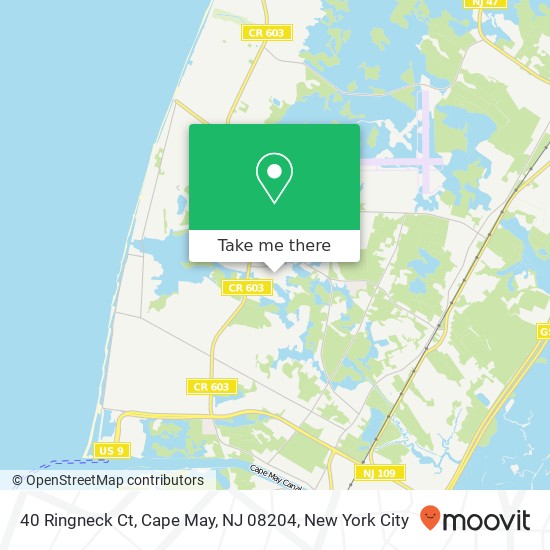 Mapa de 40 Ringneck Ct, Cape May, NJ 08204