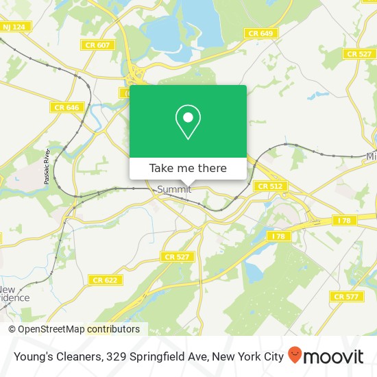 Mapa de Young's Cleaners, 329 Springfield Ave