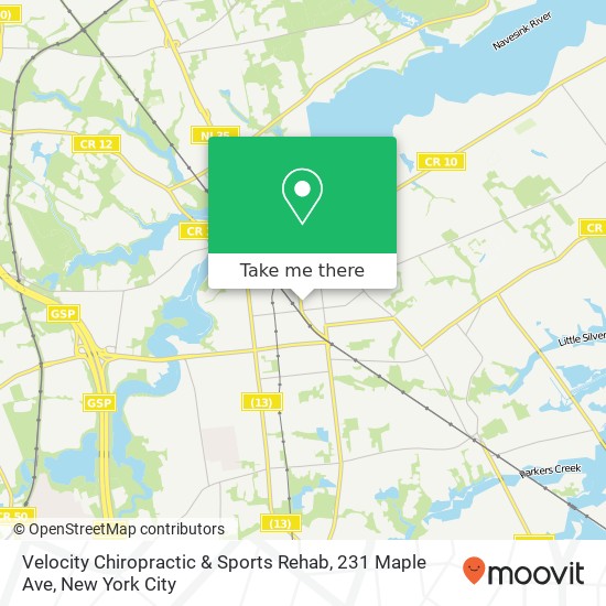 Mapa de Velocity Chiropractic & Sports Rehab, 231 Maple Ave