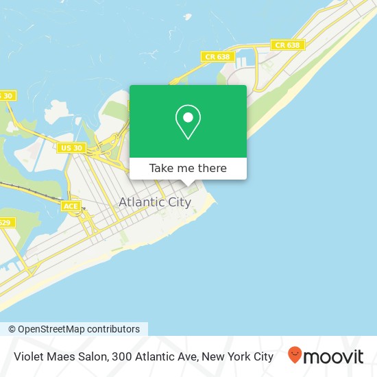 Mapa de Violet Maes Salon, 300 Atlantic Ave