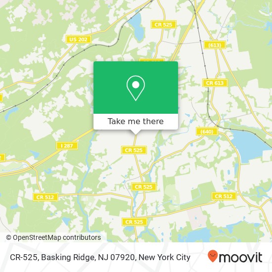 CR-525, Basking Ridge, NJ 07920 map