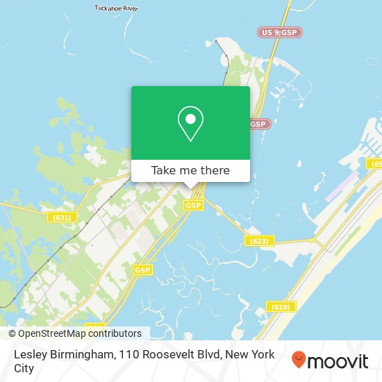 Lesley Birmingham, 110 Roosevelt Blvd map