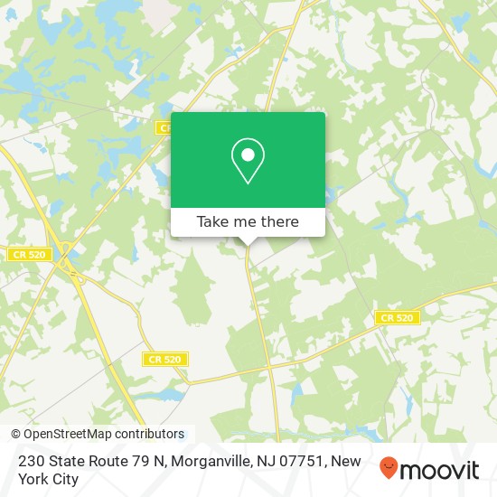 230 State Route 79 N, Morganville, NJ 07751 map