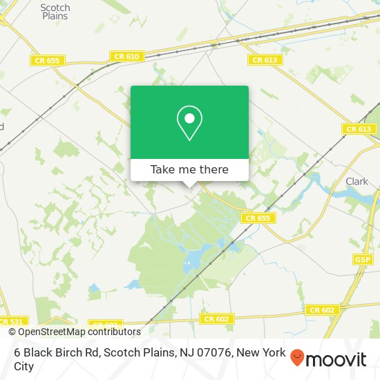 Mapa de 6 Black Birch Rd, Scotch Plains, NJ 07076