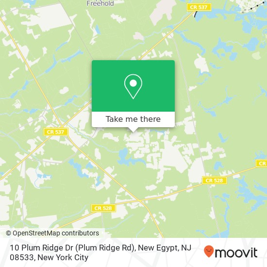 Mapa de 10 Plum Ridge Dr (Plum Ridge Rd), New Egypt, NJ 08533