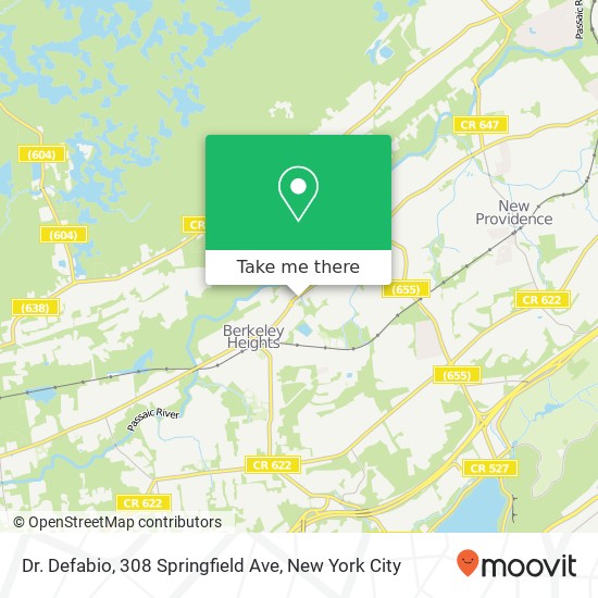 Mapa de Dr. Defabio, 308 Springfield Ave