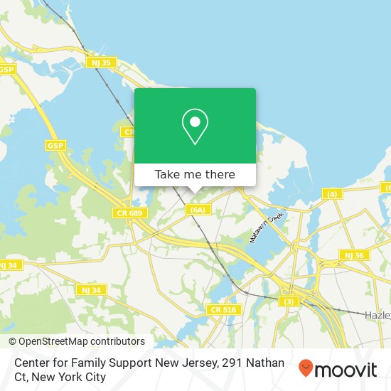 Mapa de Center for Family Support New Jersey, 291 Nathan Ct