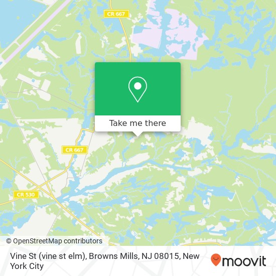 Mapa de Vine St (vine st elm), Browns Mills, NJ 08015