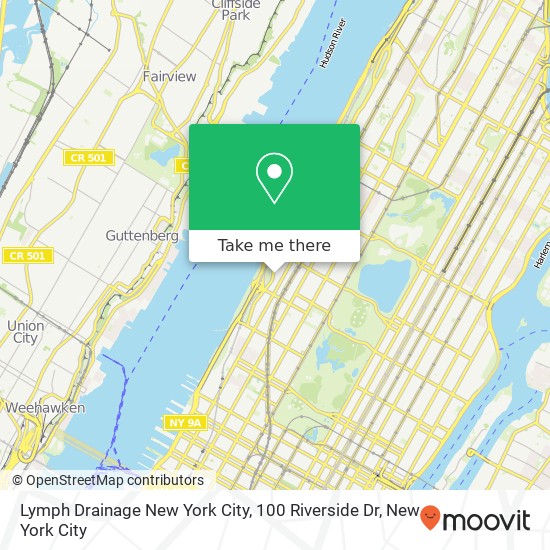Mapa de Lymph Drainage New York City, 100 Riverside Dr