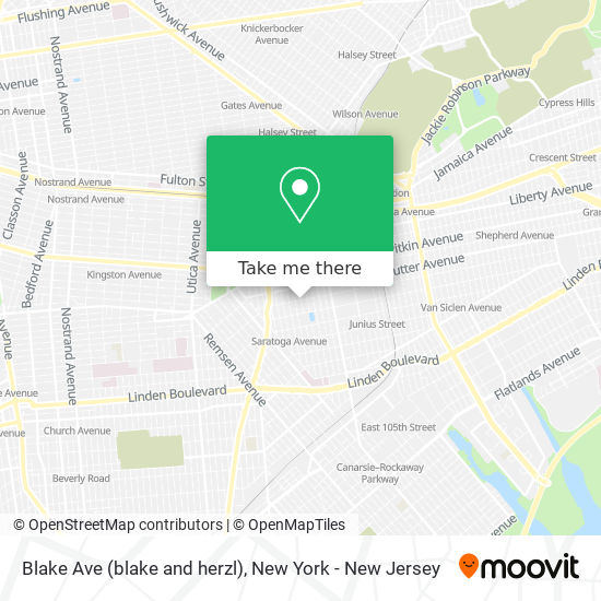 Blake Ave (blake and herzl) map