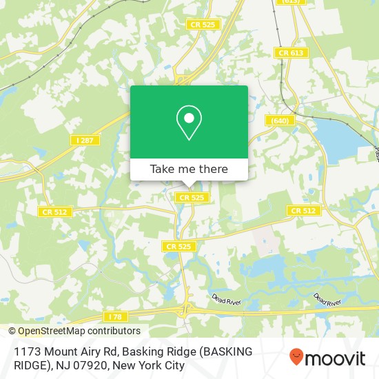 1173 Mount Airy Rd, Basking Ridge (BASKING RIDGE), NJ 07920 map