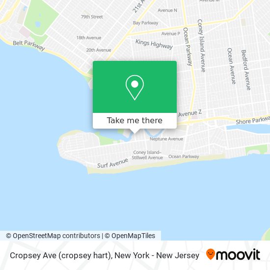 Cropsey Ave (cropsey hart) map