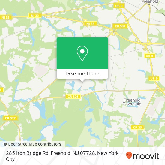 285 Iron Bridge Rd, Freehold, NJ 07728 map