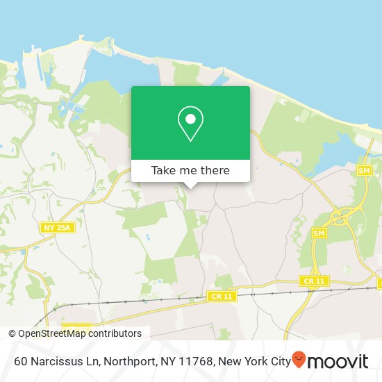Mapa de 60 Narcissus Ln, Northport, NY 11768