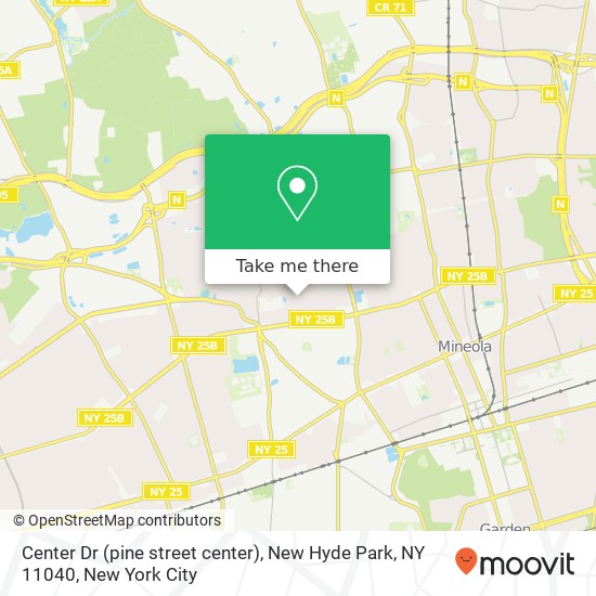 Center Dr (pine street center), New Hyde Park, NY 11040 map
