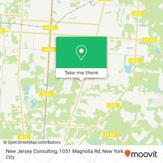 New Jersey Consulting, 1051 Magnolia Rd map