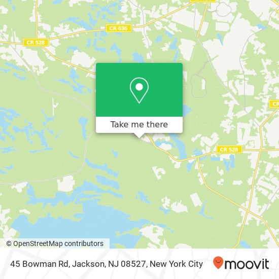 45 Bowman Rd, Jackson, NJ 08527 map